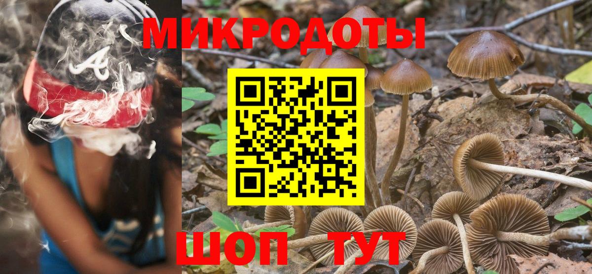 Галлюциногенные грибы мухоморы Мончегорск