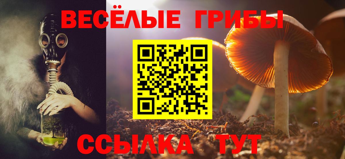 Мончегорск  Псилоцибиновые грибы Cubensis  Вход с VPN 